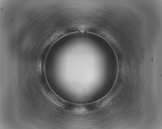 X0000087600262200704271339