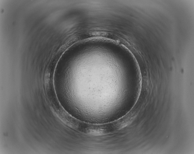 X0000087600263200704271339