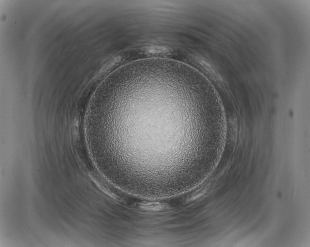 X0000087600269200704271340
