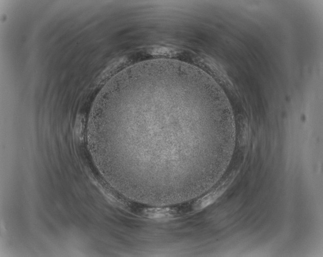 X0000087600273200704271340