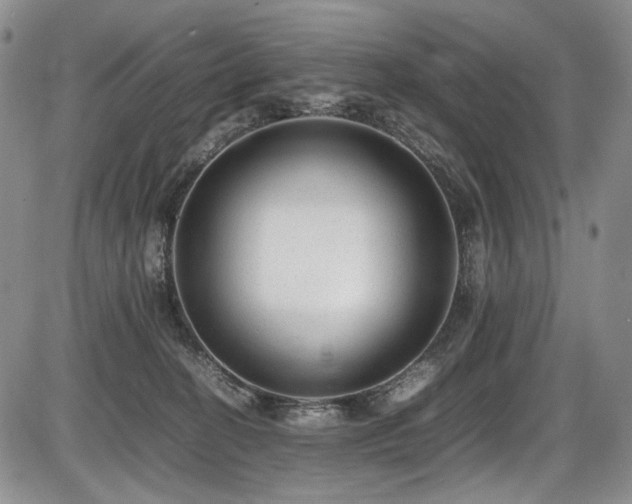X0000087600274200704271340