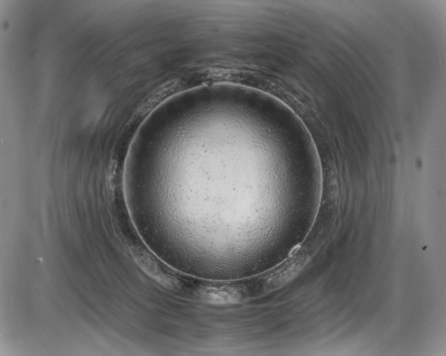 X0000087600275200704271340