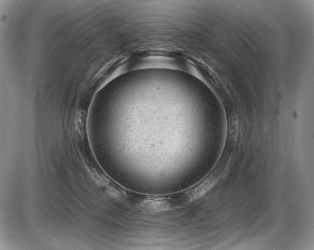 X0000087600280200704271340
