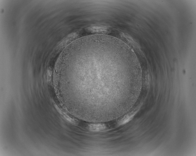 X0000087600281200704271340