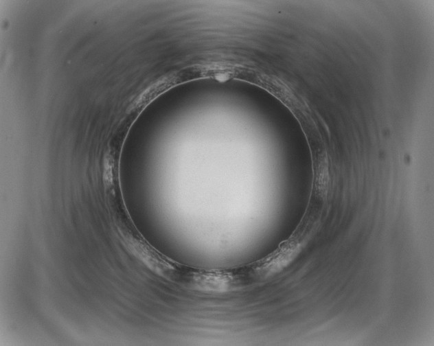 X0000087600282200704271340
