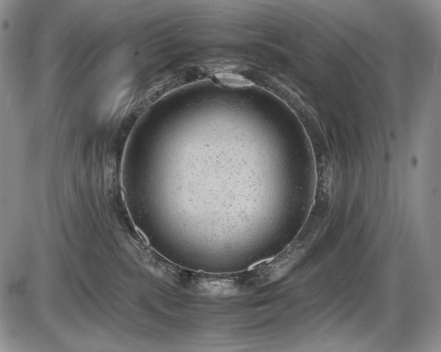 X0000087600283200704271340