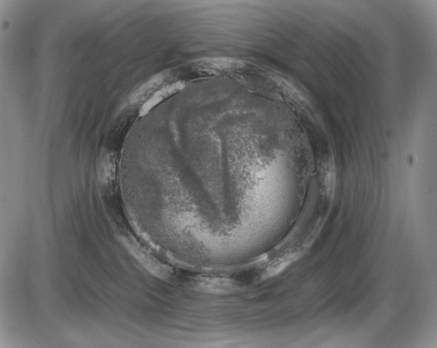 X0000087600284200704271340
