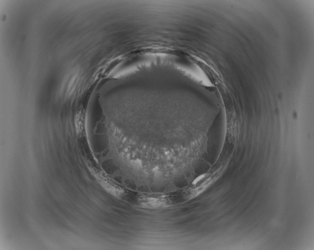 X0000087600285200704271340