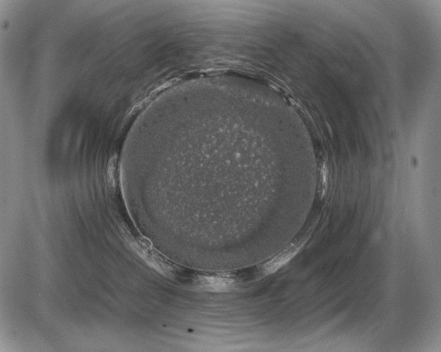 X0000087600286200704271340