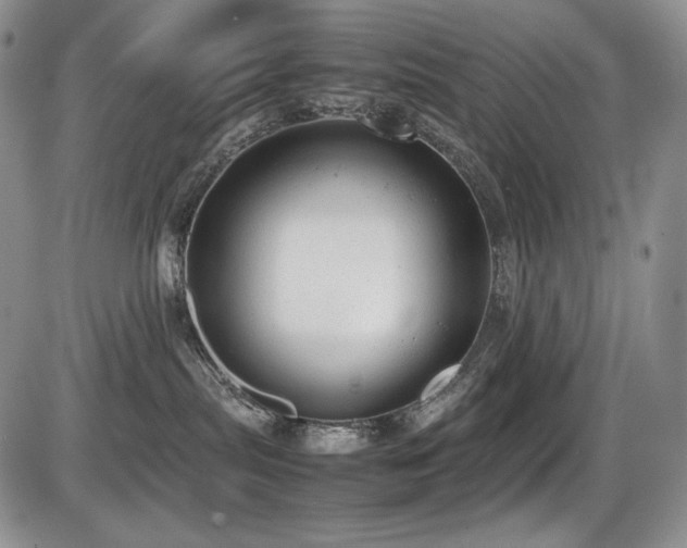 X0000087600287200704271340