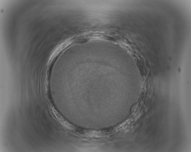 X0000087600293200704271339