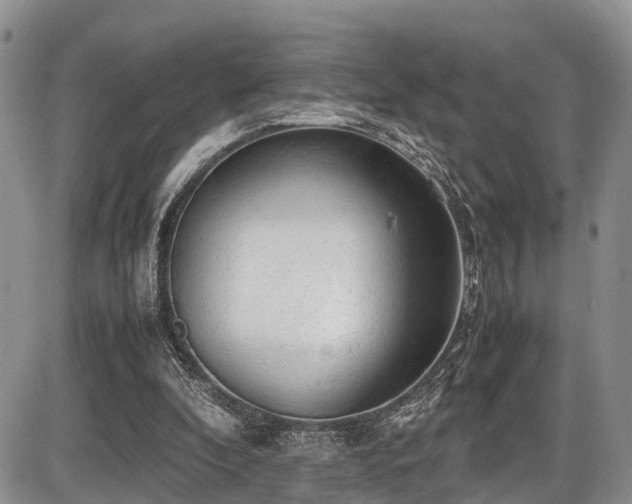 X0000087600296200704271339
