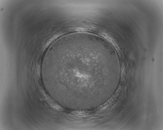 X0000087600297200704271339