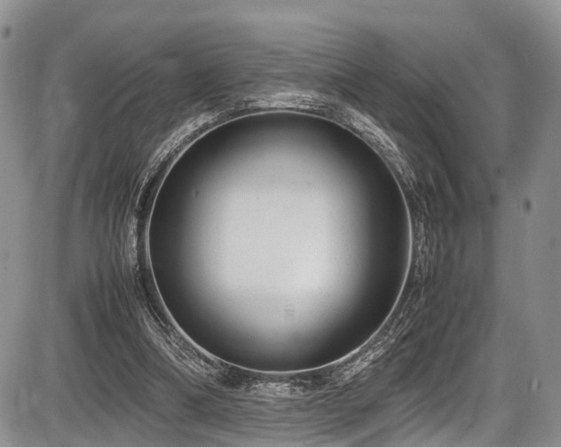 X0000087600298200704271339