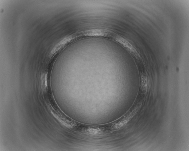 X0000087600302200704271339