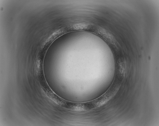 X0000087600308200704271339