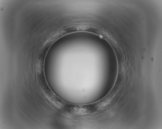 X0000087600311200704271339
