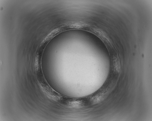X0000087600312200704271339