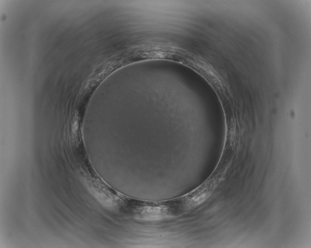 X0000087600314200704271339