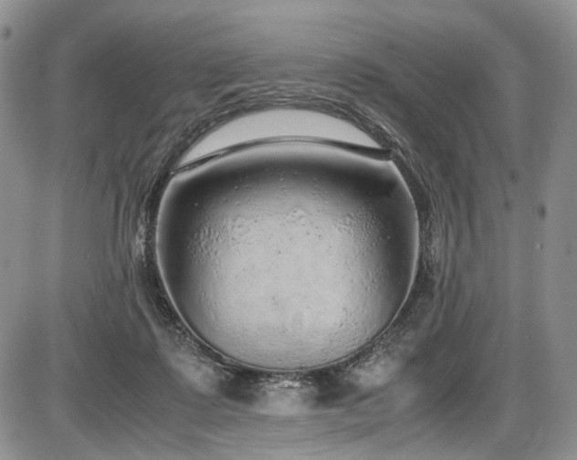 X0000087600315200704271339