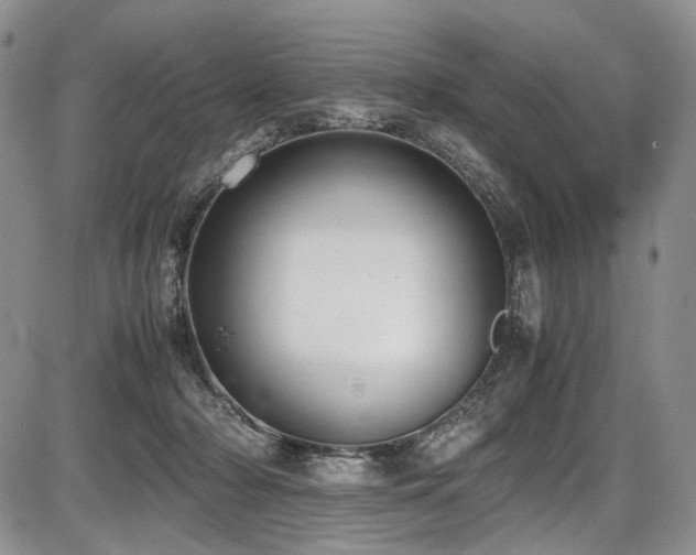 X0000087600318200704271339