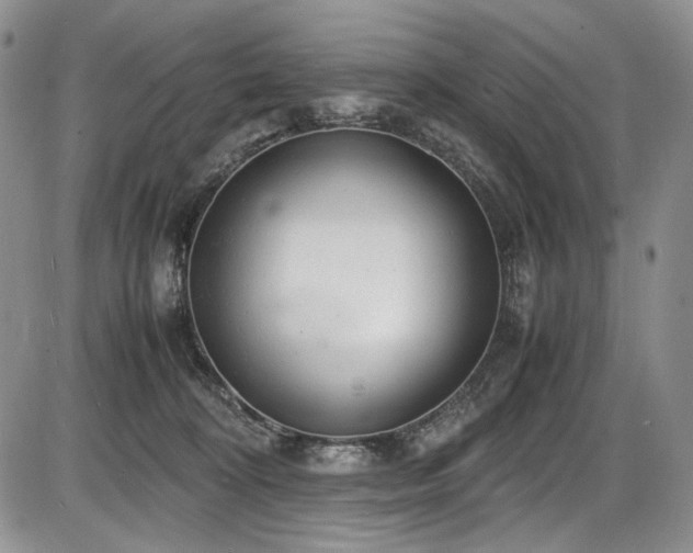 X0000087600324200704271339