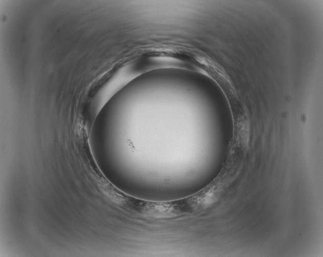 X0000087600329200704271338