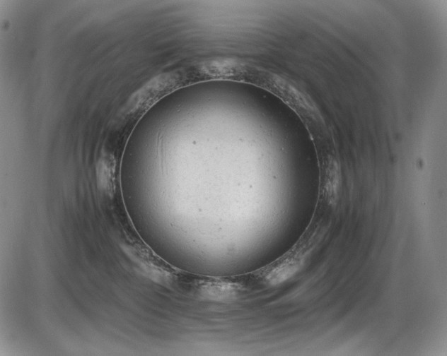 X0000087600332200704271338