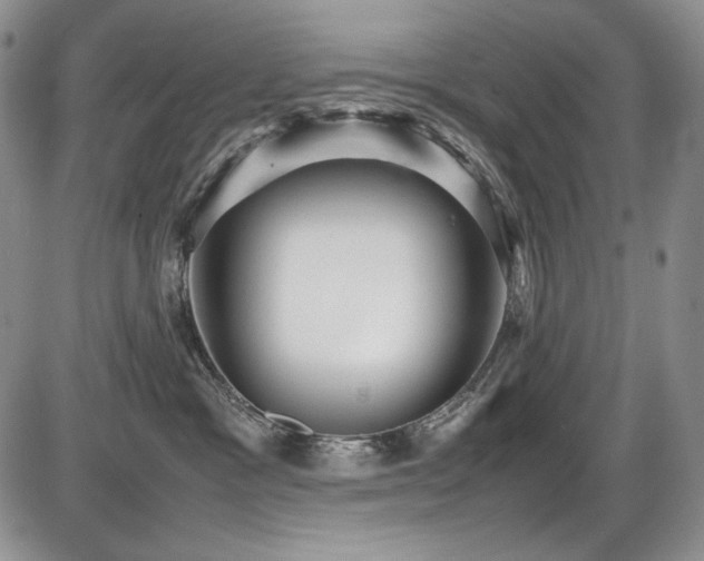 X0000087600333200704271338