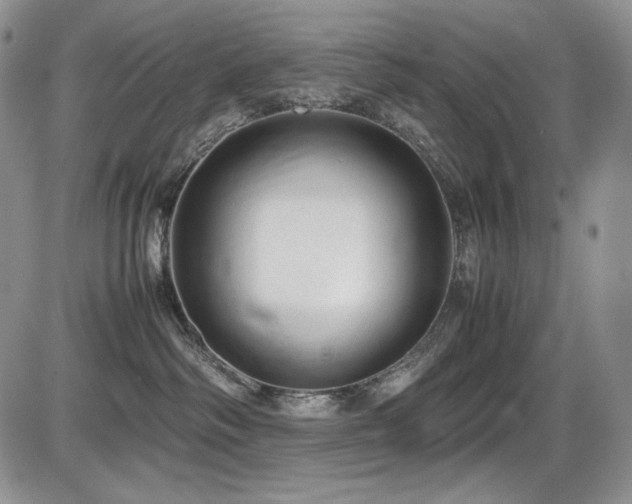 X0000087600334200704271338