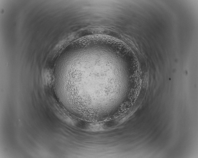 X0000087600335200704271338
