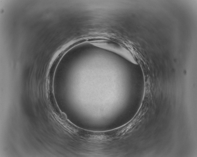 X0000087600342200704271338