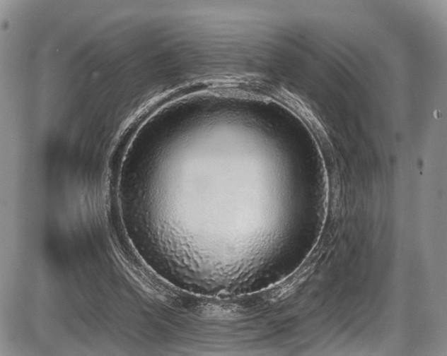 X0000087600346200704271338