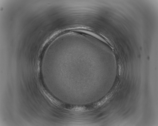 X0000087600350200704271338