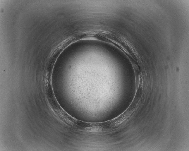 X0000087600356200704271338