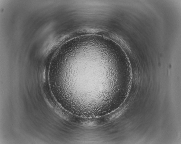 X0000087600358200704271338