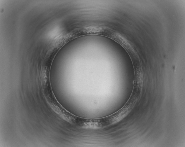 X0000087600362200704271338