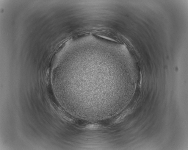 X0000087600364200704271338