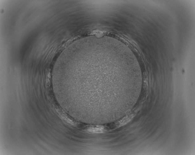 X0000087600369200704271338