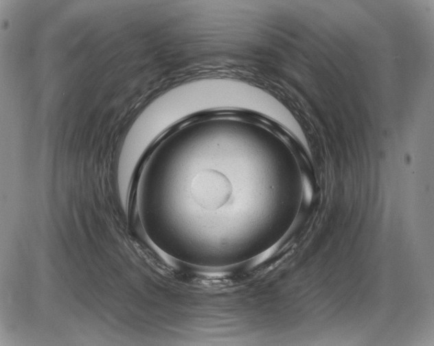 X0000087600372200704271338