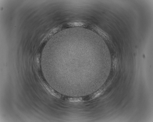 X0000087600373200704271338