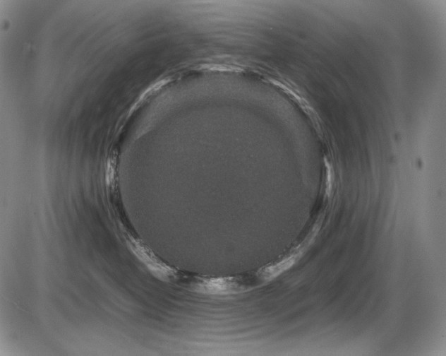 X0000087600382200704271338