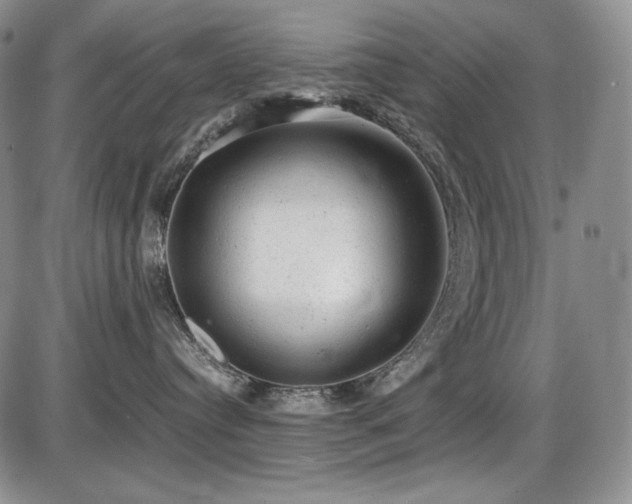 X0000087600384200704271338
