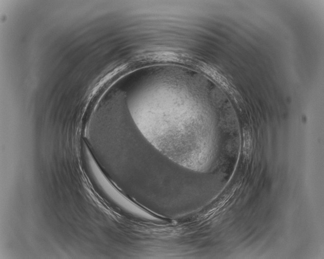 X0000087600390200704271337