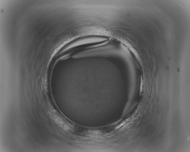 X0000087600391200704271337