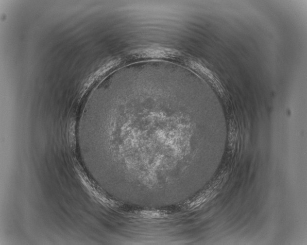 X0000087600394200704271337