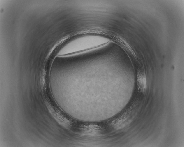 X0000087600396200704271337