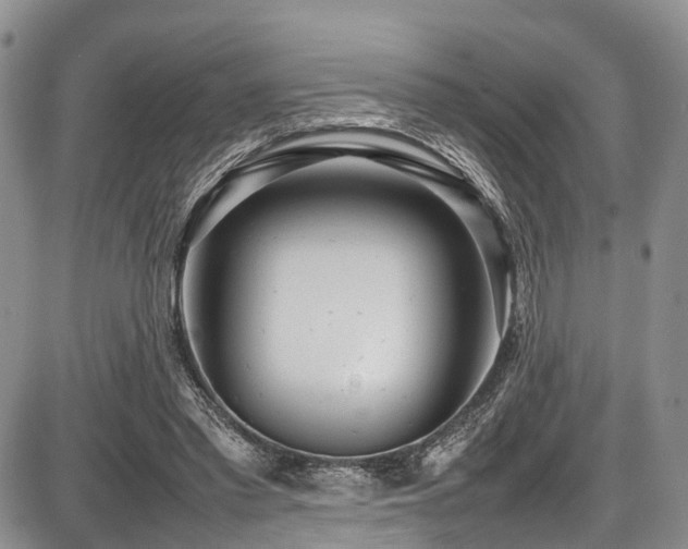 X0000087600397200704271337