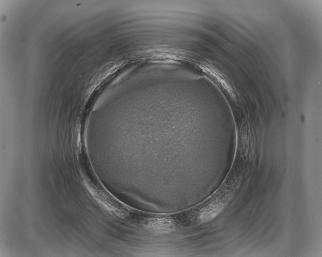 X0000087600398200704271337