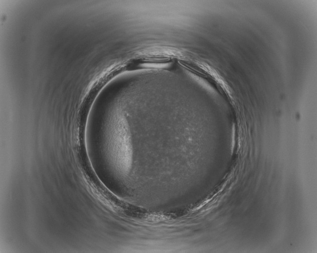 X0000087600399200704271337